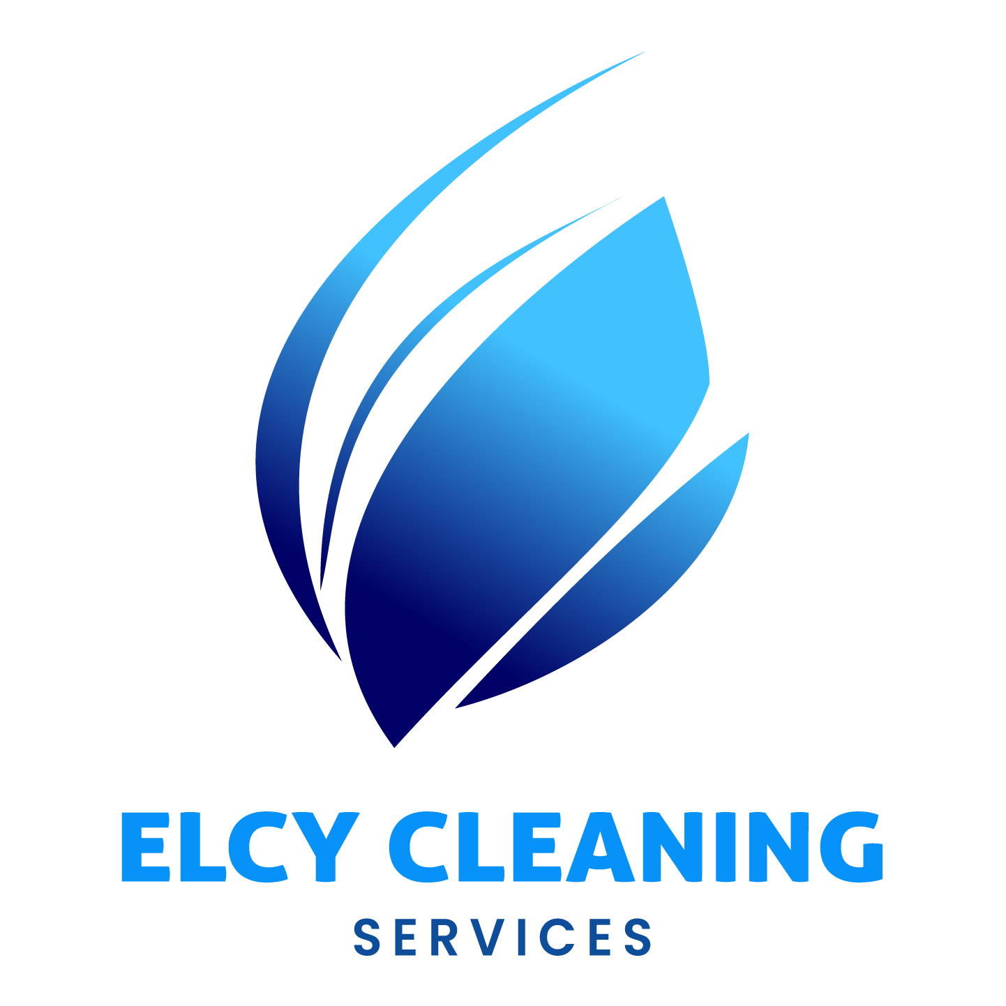 Elcy Cleaning Services